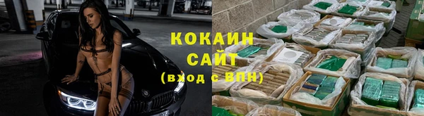 прущие грибы Абинск