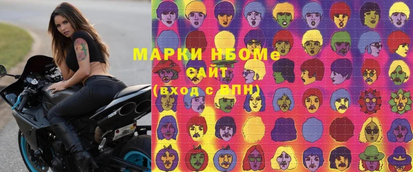 прущие грибы Абинск